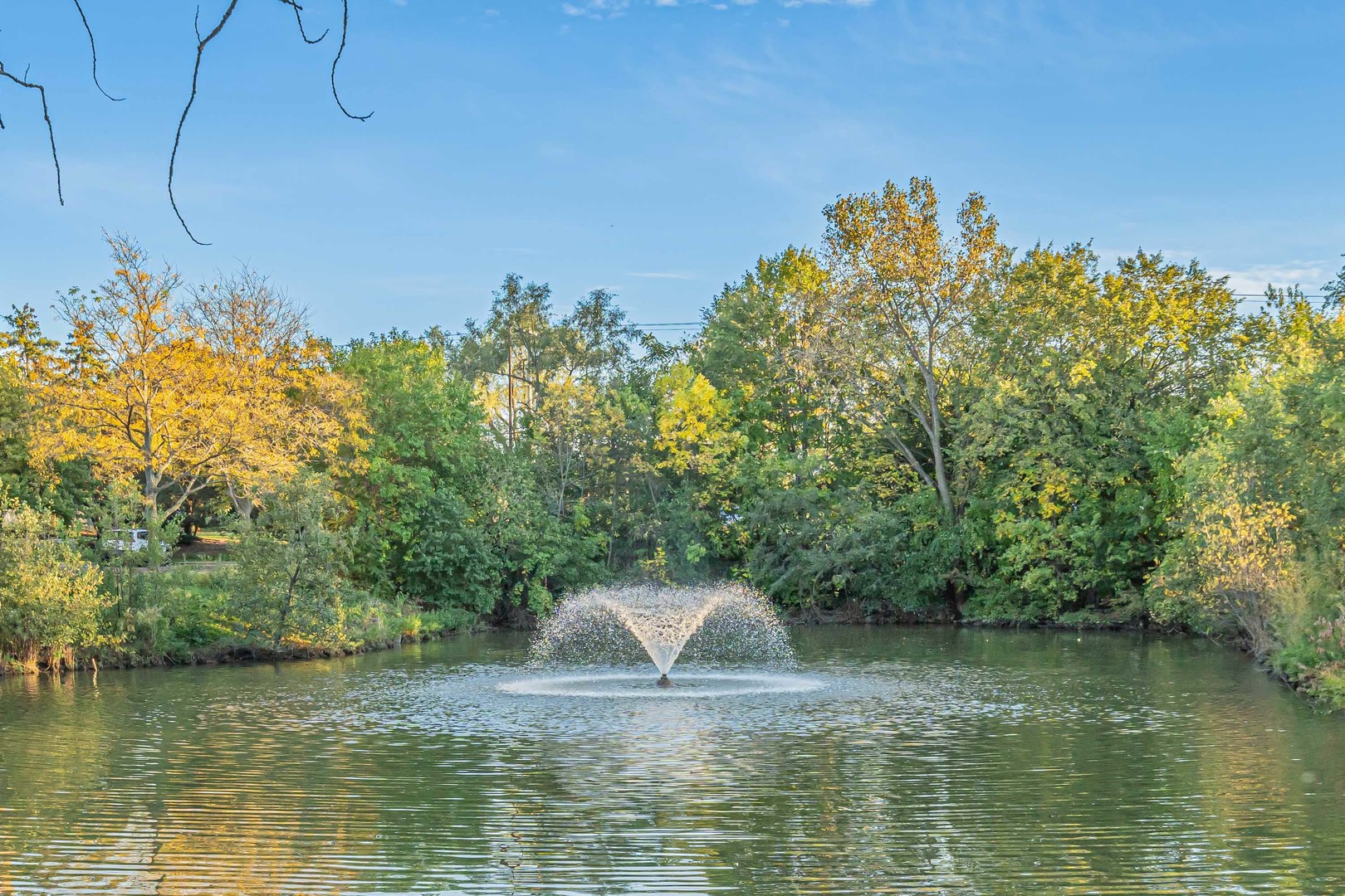 800 Weidner Road, Unit 308 Buffalo Grove, IL 60089 - Photo 2 of 34 Gallery Image 2