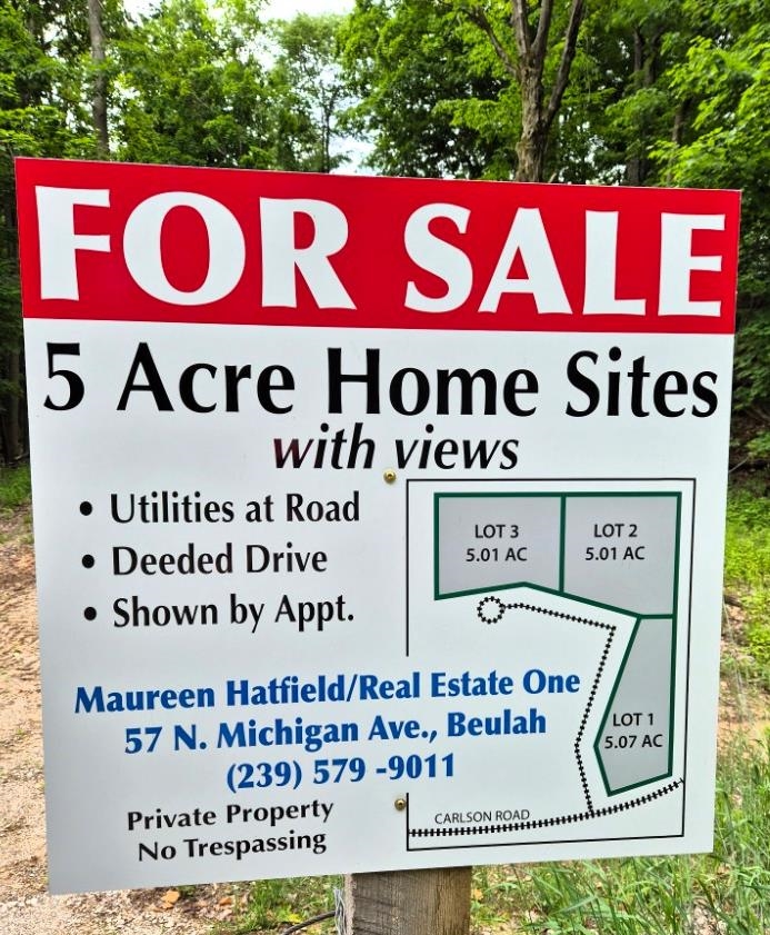 -2 Carlson Road, Unit PARCEL 2 Frankfort, MI 49635 - Photo 13 of 13