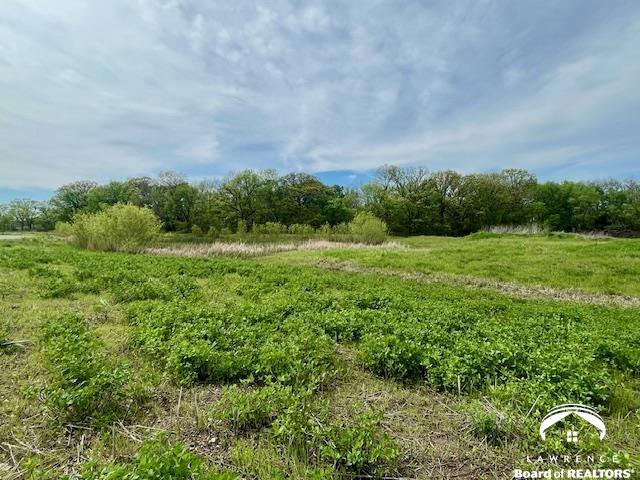 11.77-acres North 972nd Road Lawrence, KS 66047 - Photo 17 of 38