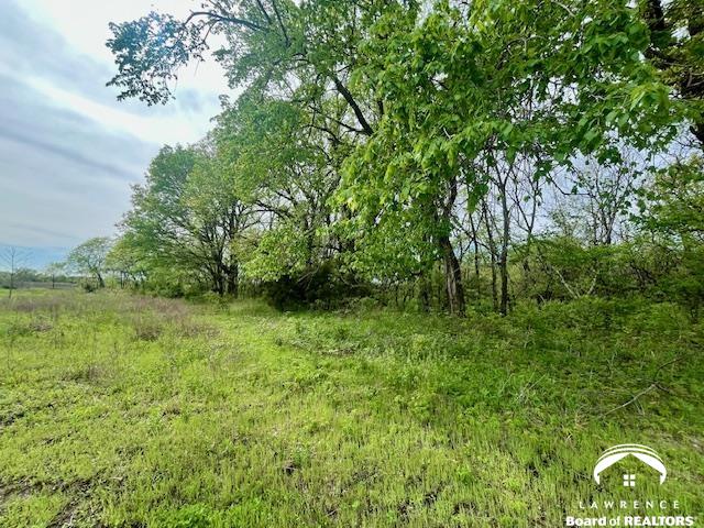 11.77-acres North 972nd Road Lawrence, KS 66047 - Photo 18 of 38