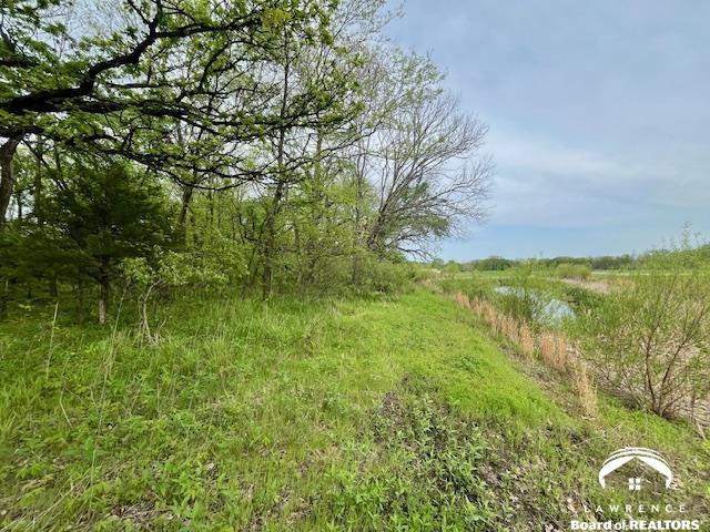 11.77-acres North 972nd Road Lawrence, KS 66047 - Photo 19 of 38
