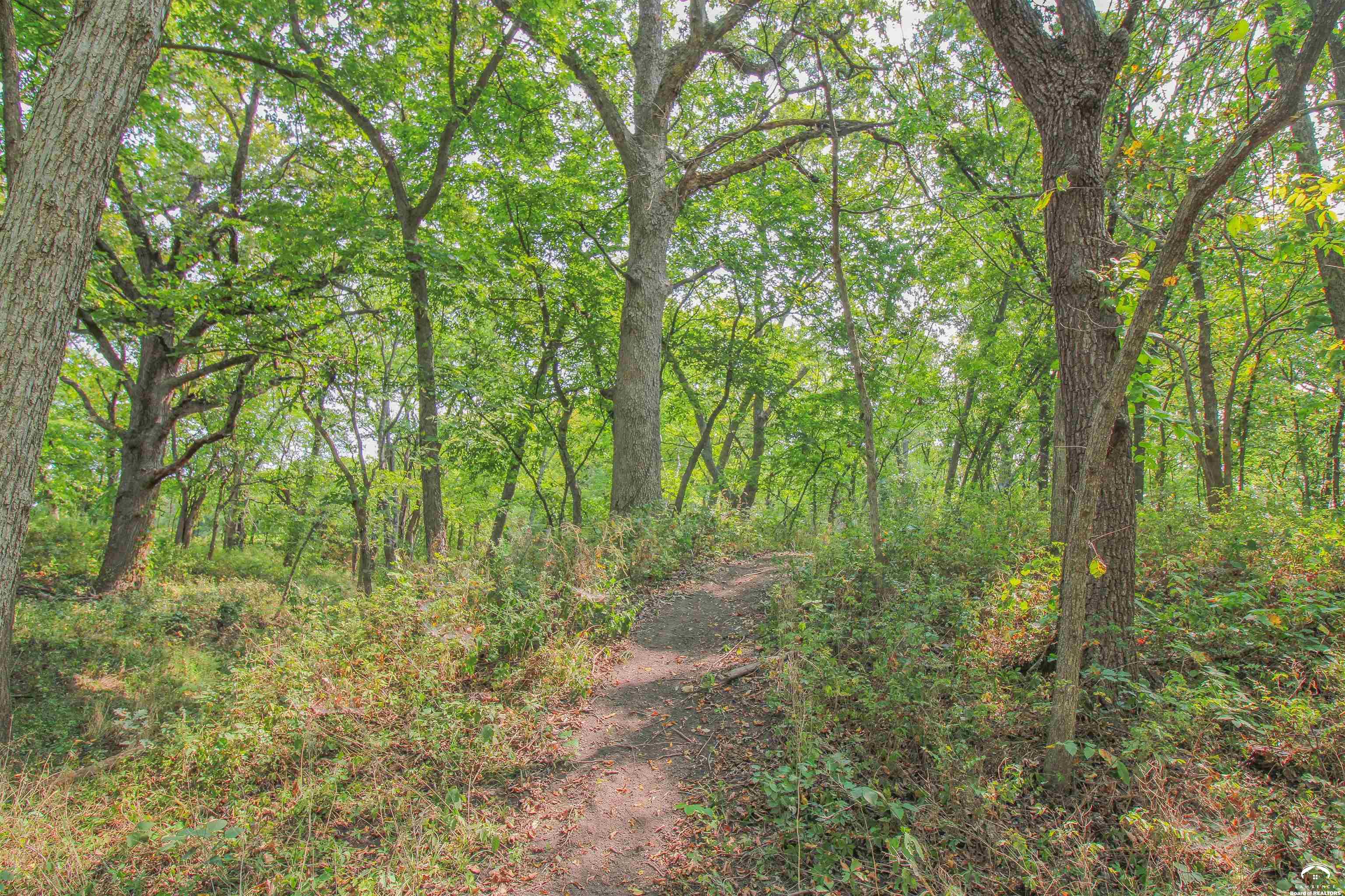 11.77-acres North 972nd Road Lawrence, KS 66047 - Photo 22 of 38