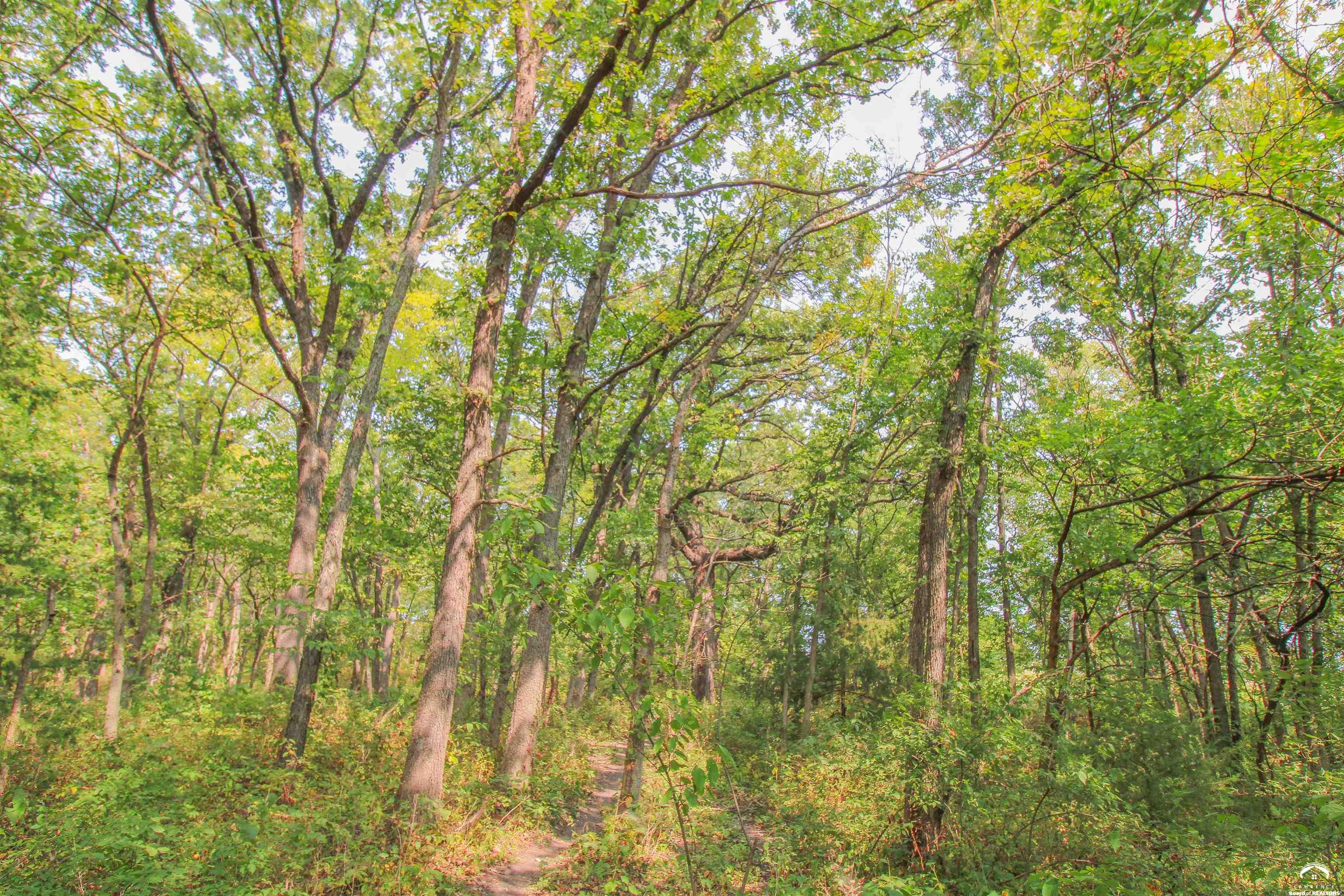 11.77-acres North 972nd Road Lawrence, KS 66047 - Photo 23 of 38