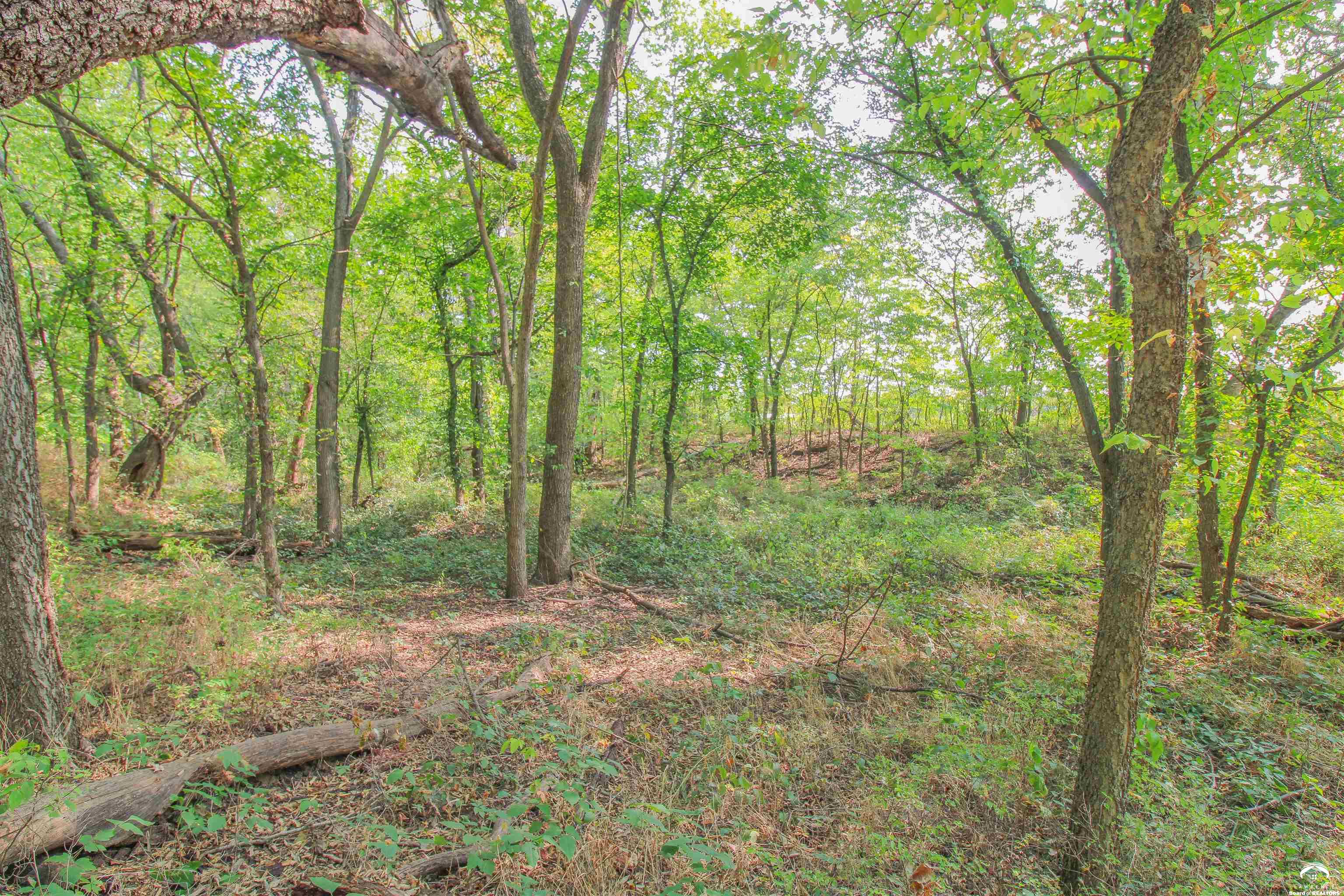 11.77-acres North 972nd Road Lawrence, KS 66047 - Photo 24 of 38