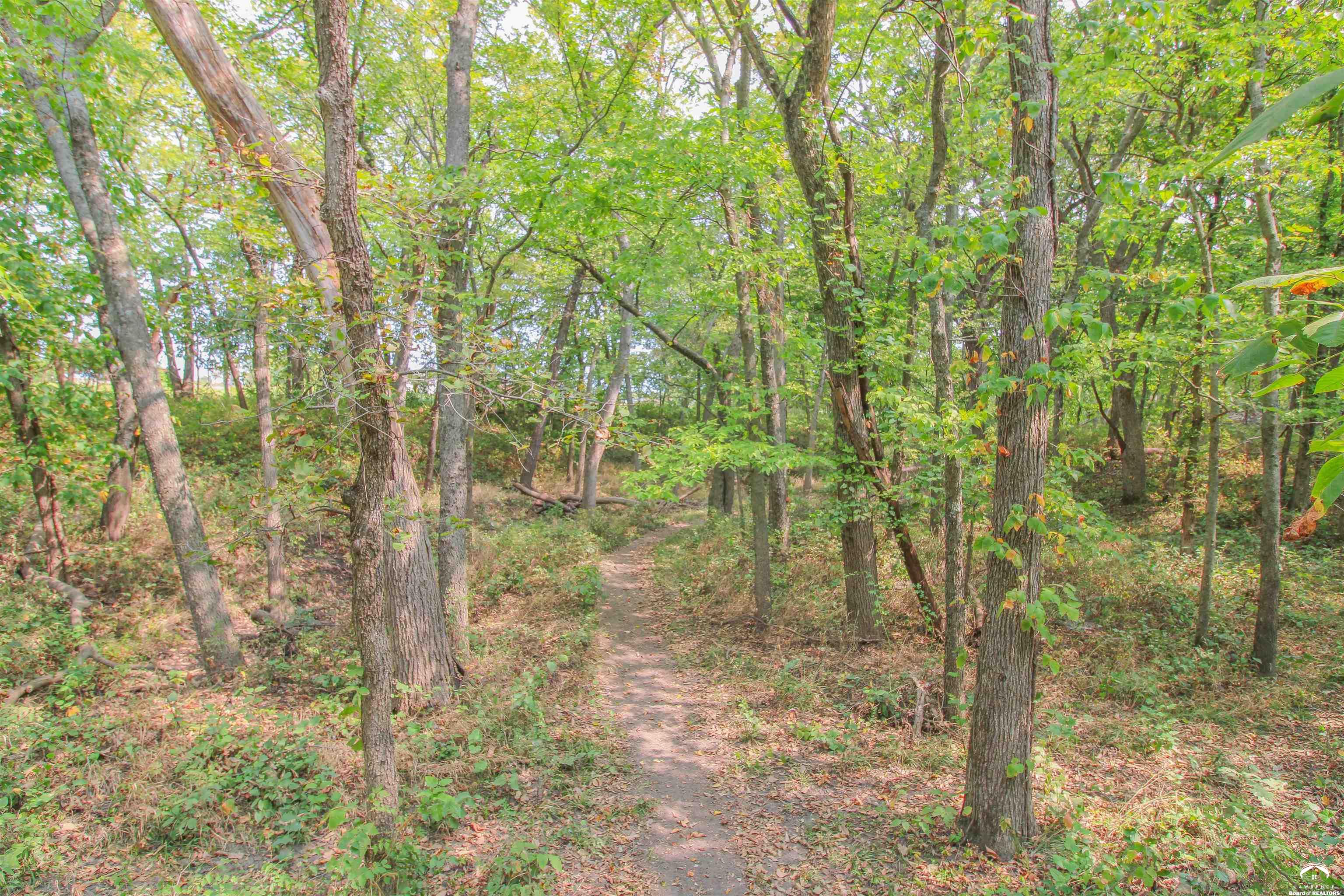 11.77-acres North 972nd Road Lawrence, KS 66047 - Photo 25 of 38