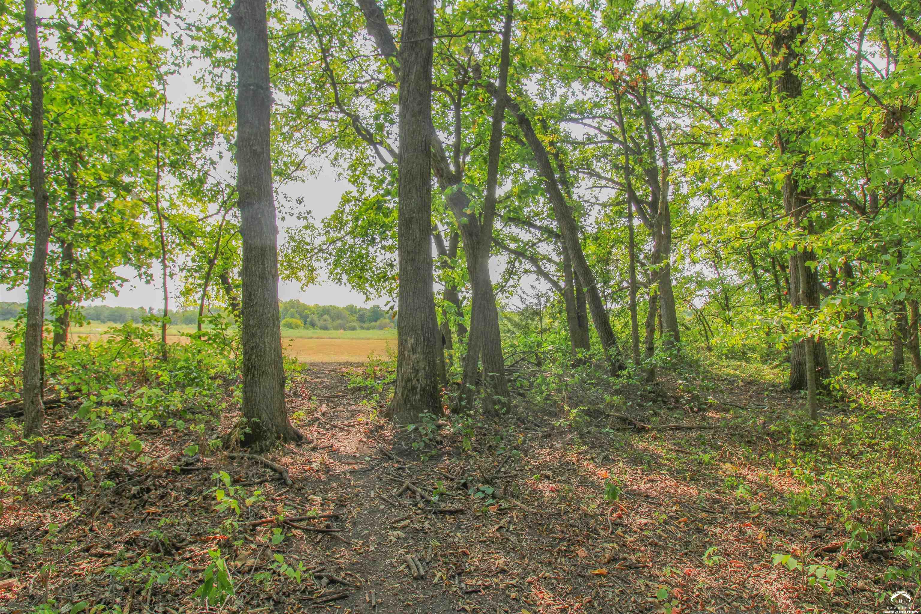 11.77-acres North 972nd Road Lawrence, KS 66047 - Photo 26 of 38