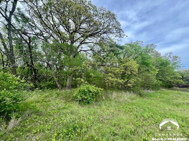 11.77-acres North 972nd Road Lawrence, KS 66047 - Photo 27 of 38