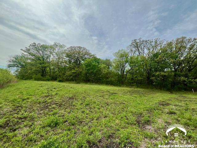 11.77-acres North 972nd Road Lawrence, KS 66047 - Photo 28 of 38