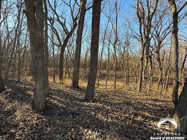 11.77-acres North 972nd Road Lawrence, KS 66047 - Photo 34 of 38