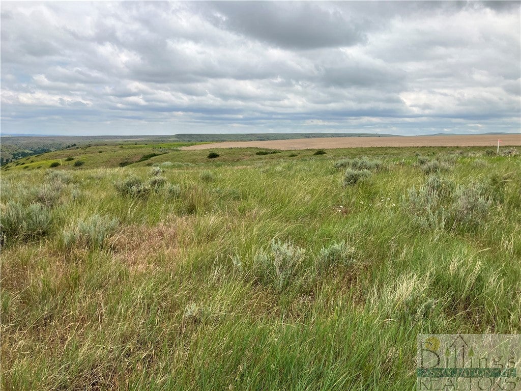 5154 Brohaugh Road Laurel, MT 59044 - Photo 33 of 36 Gallery Image 33