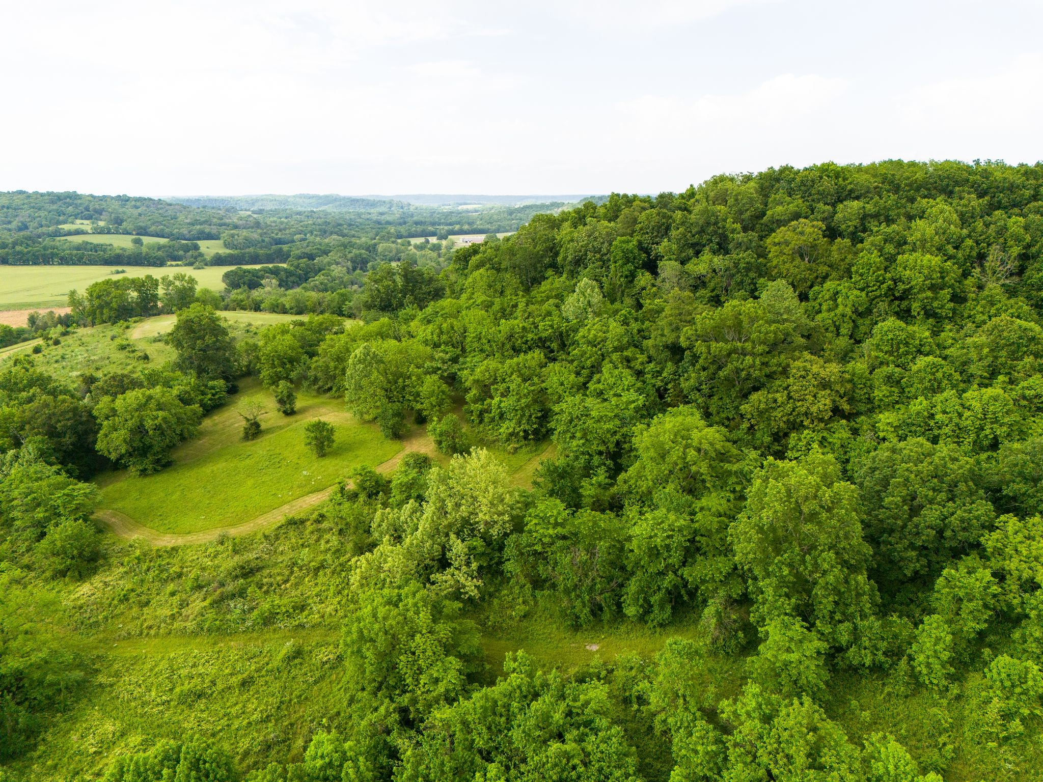 0 Taylors Store Road Hampshire, TN 38461 - Photo 40 of 44 Gallery Image 40