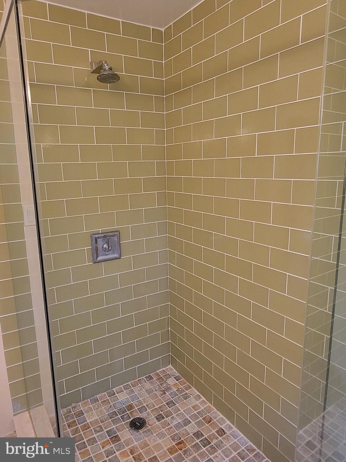 365 Danell Road Wayne, PA 19087 - Photo 19 of 30 main bath shower