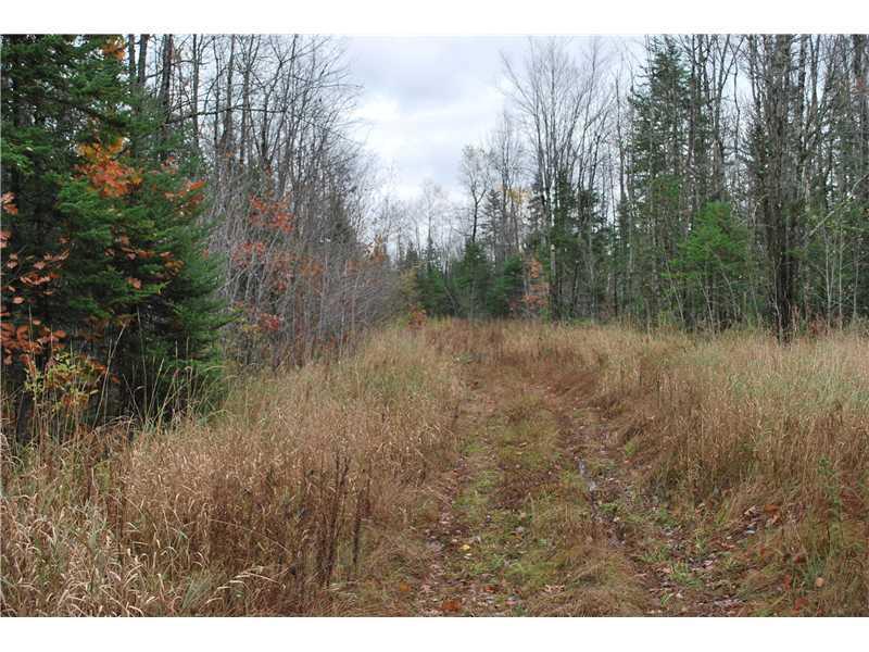 Lot 7 Higgins Road Pittsfield, ME 04967 - Photo 1 of 6 Land.