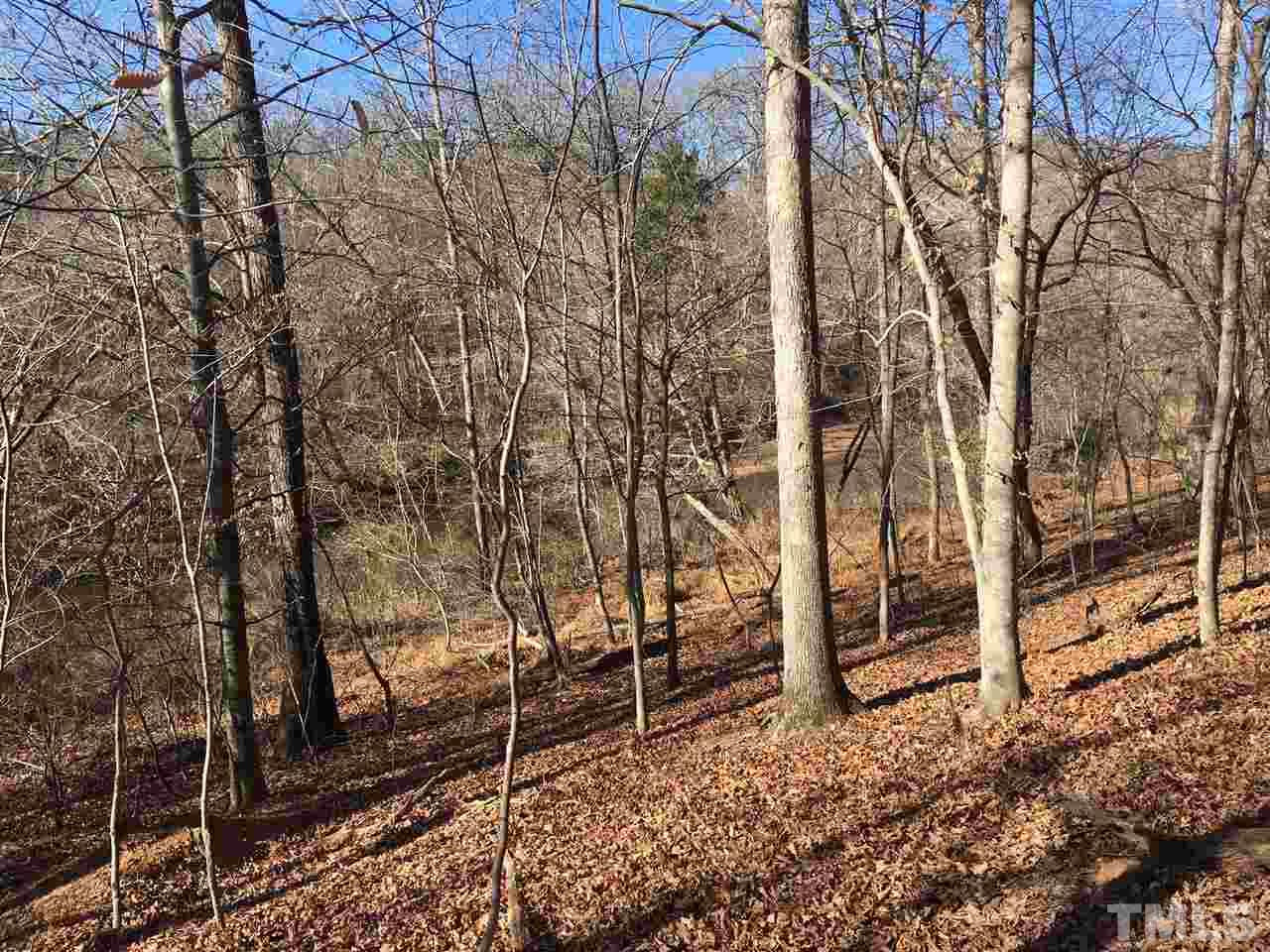 12969 Hampton Road Rougemont, NC 27572 - Photo 6 of 7 a backyard of a house with lots of green space