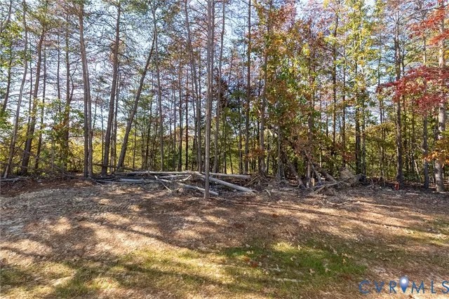 a view of outdoor space with trees