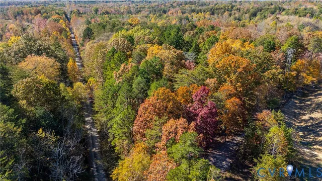 a view of a yard with large trees