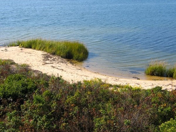 291 Barnes Road Oak Bluffs, MA 02557 - Photo 23 of 30 a view of a backyard of the house