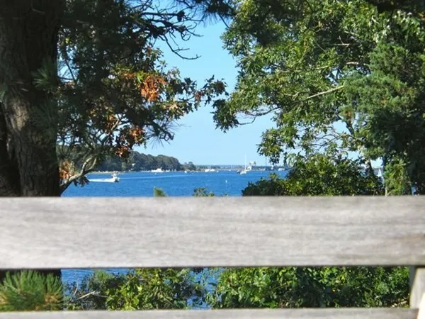 a view of yard with large tree