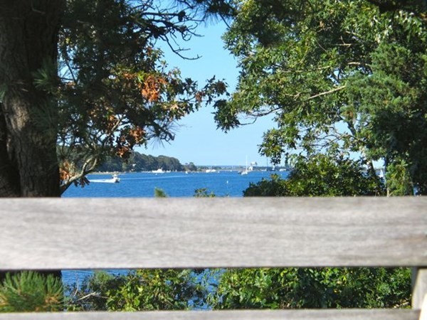 291 Barnes Road Oak Bluffs, MA 02557 - Photo 25 of 30 a view of yard with large tree