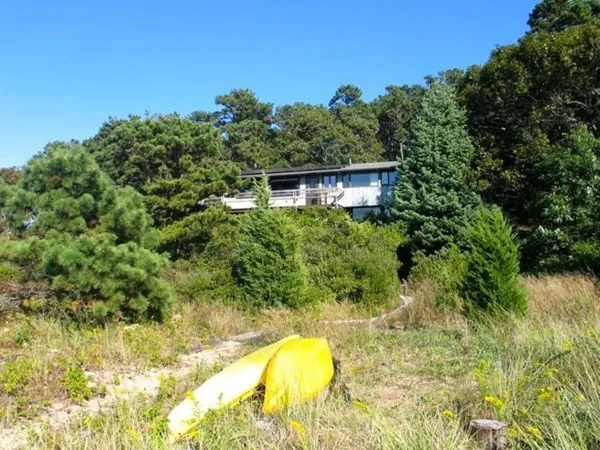 a view of a yard in front of a house
