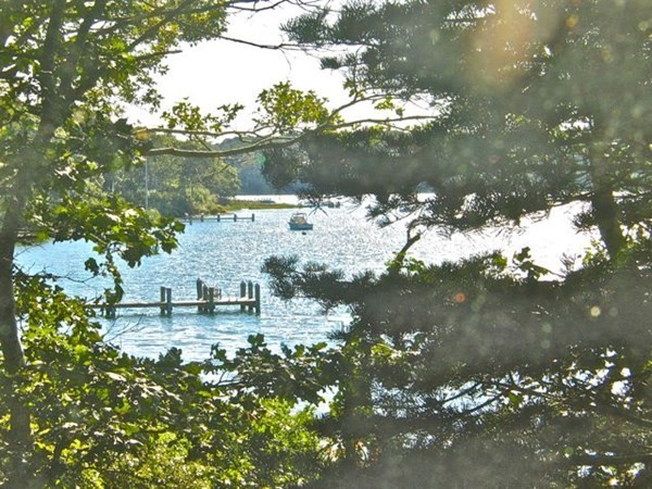 291 Barnes Road Oak Bluffs, MA 02557 - Photo 29 of 30