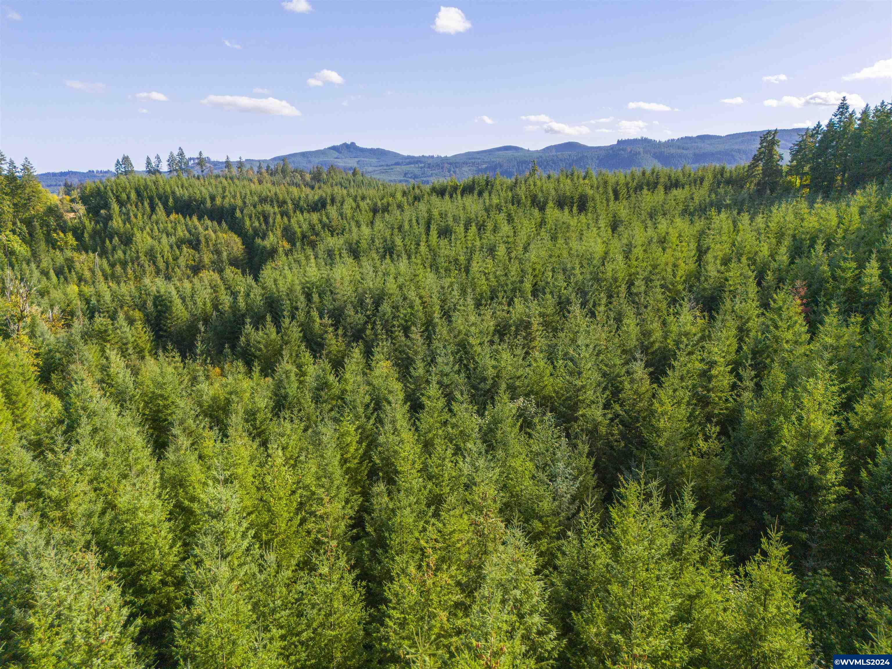 0 Northwest Meadowlake Road Yamhill, OR 97148 - Photo 11 of 14
