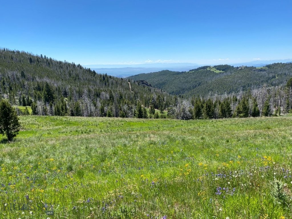 4746 Indian Creek Road Townsend, MT 59644 - Photo 1 of 1 Gallery Image 1