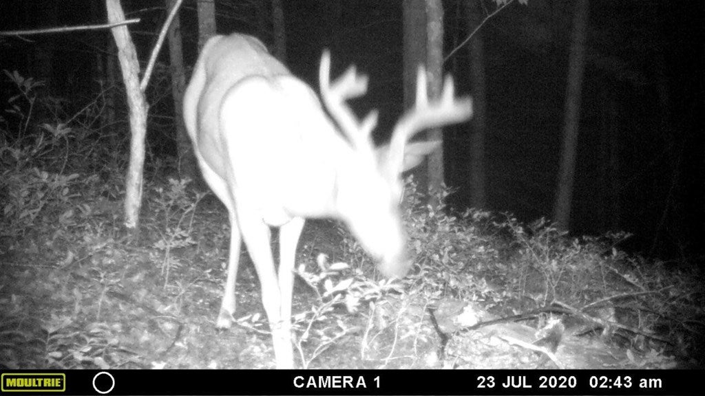 24.5-ac Alleghany Road Max Meadows, VA 24360 - Photo 34 of 38 Gallery Image 34