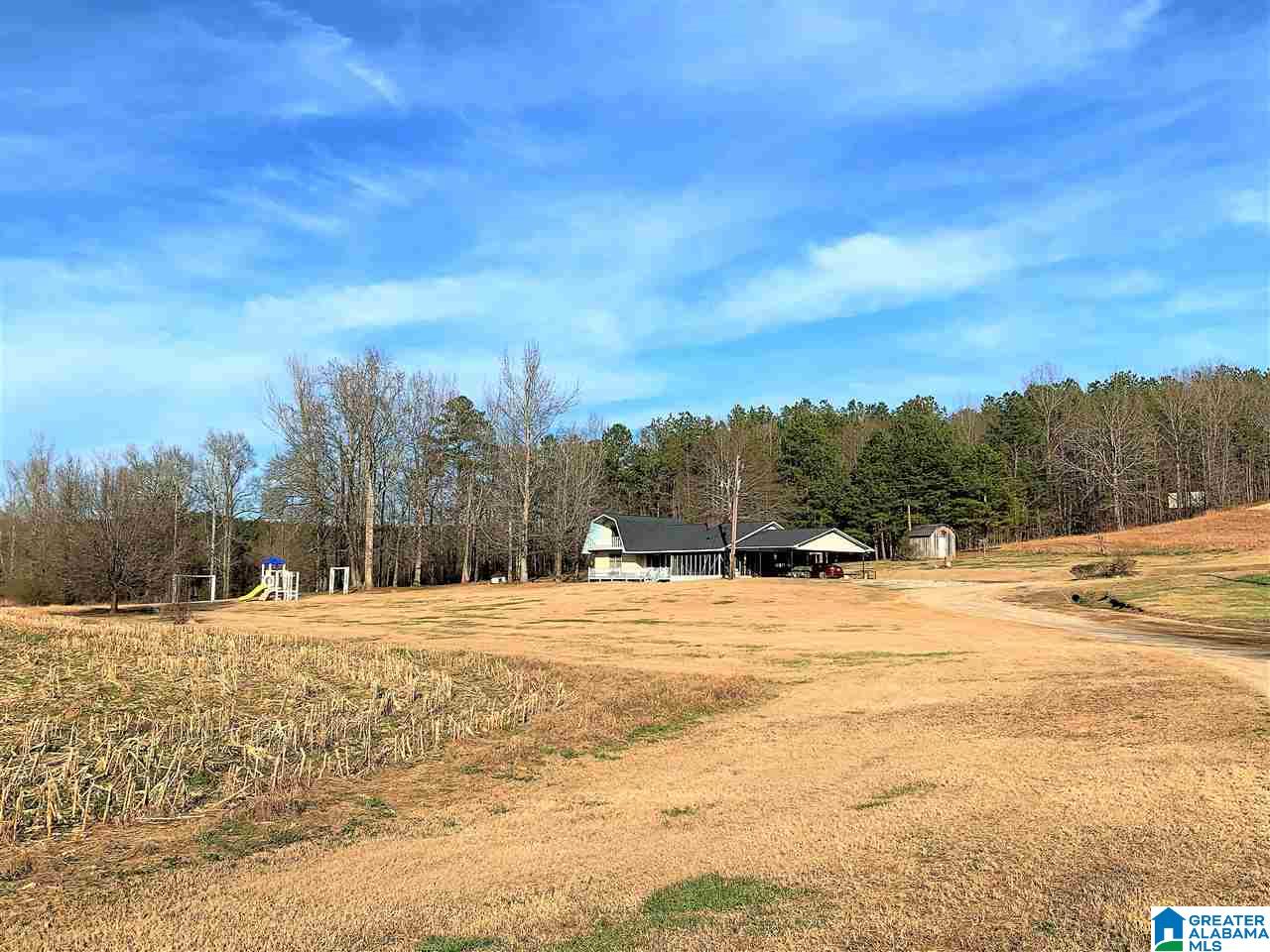 1141 County Road 482 Heflin, AL 36264 - Photo 10 of 44