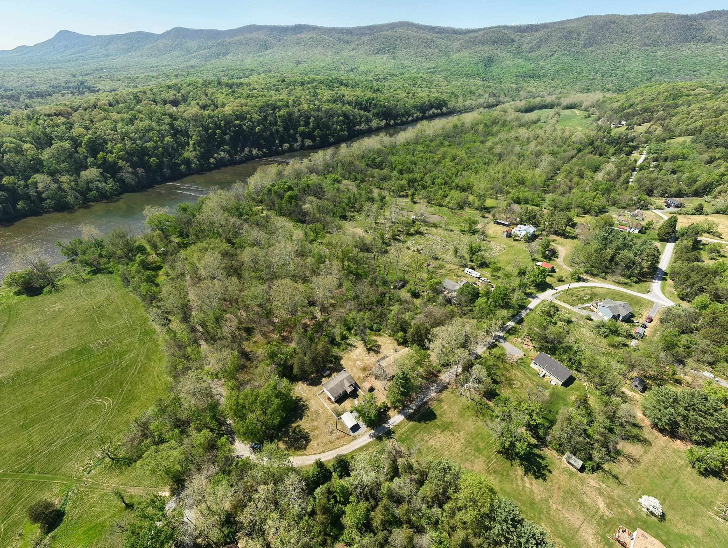 702 Richview Road Rileyville, VA 22650 - Photo 53 of 75 a view of a lush green forest with trees and houses