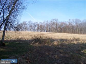 1500 Broad Run Road Downingtown, PA 19335 - Photo 4 of 4 Gallery Image 4