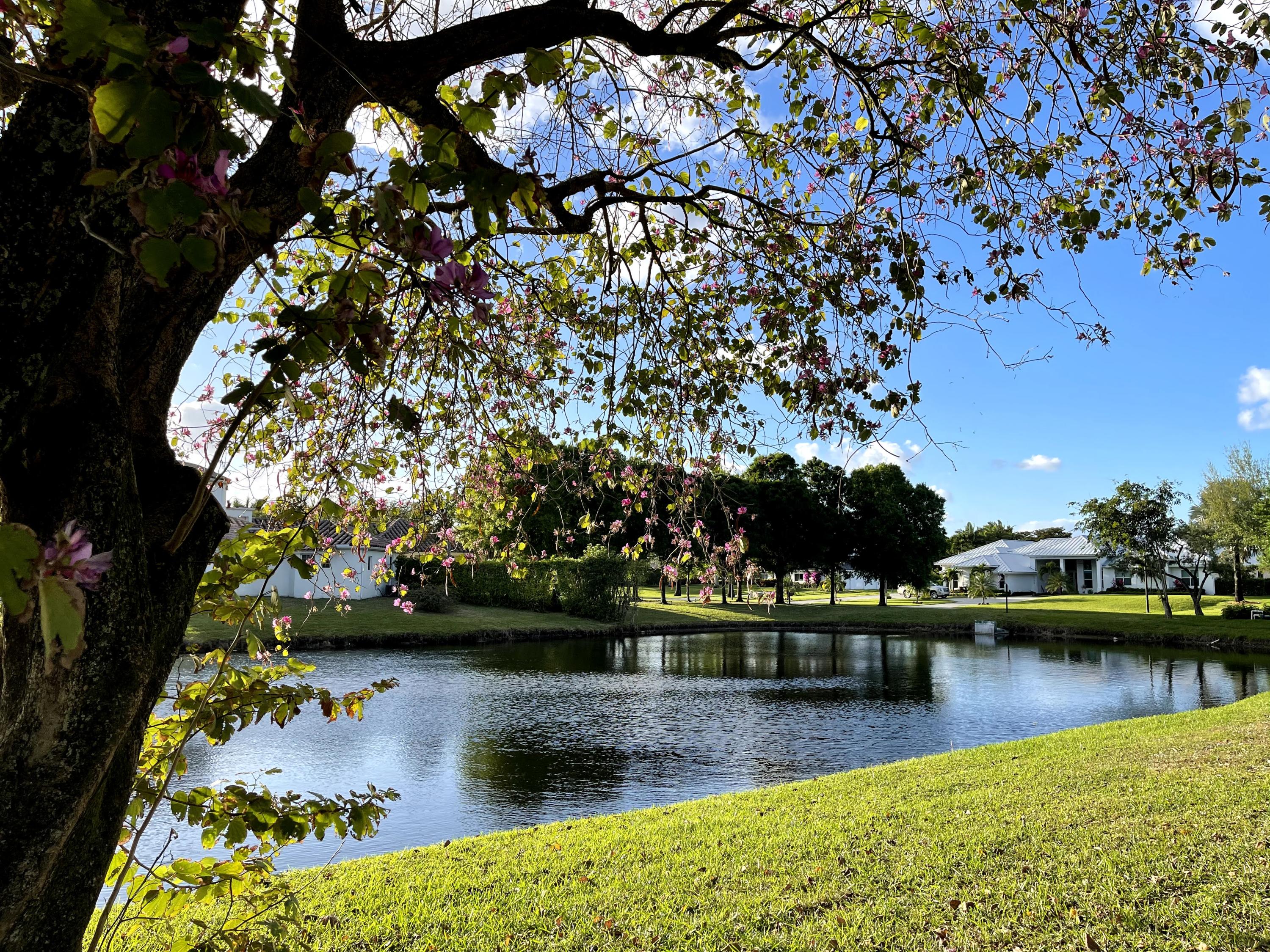 17625 Fieldbrook Circle East Boca Raton, FL 33496 - Photo 27 of 56 IMG_1640
