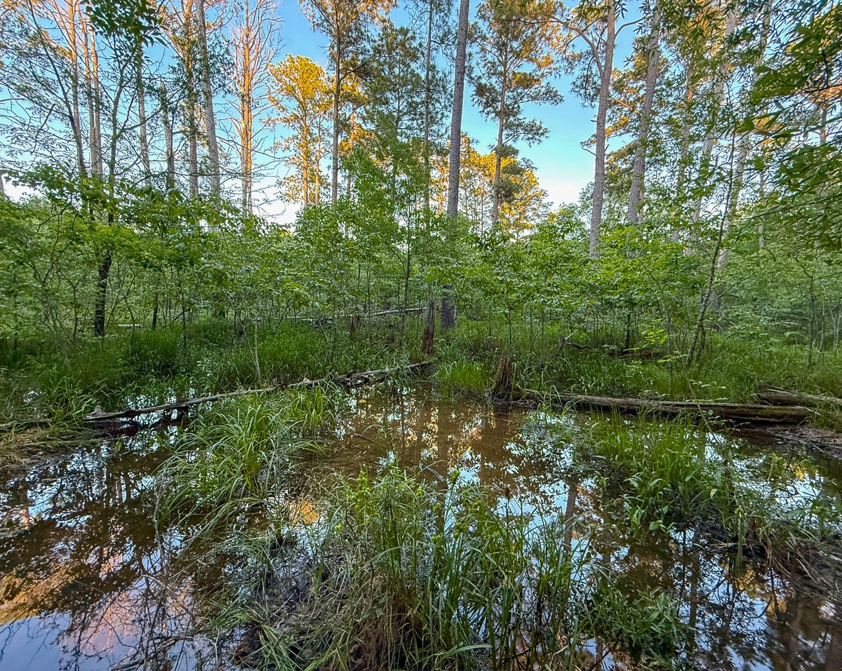 0 Fm 230 Trinity, TX 75862 - Photo 14 of 19