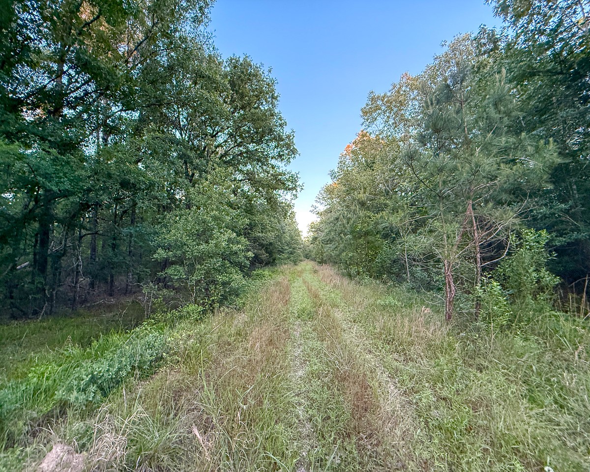 0 Fm 230 Trinity, TX 75862 - Photo 18 of 19