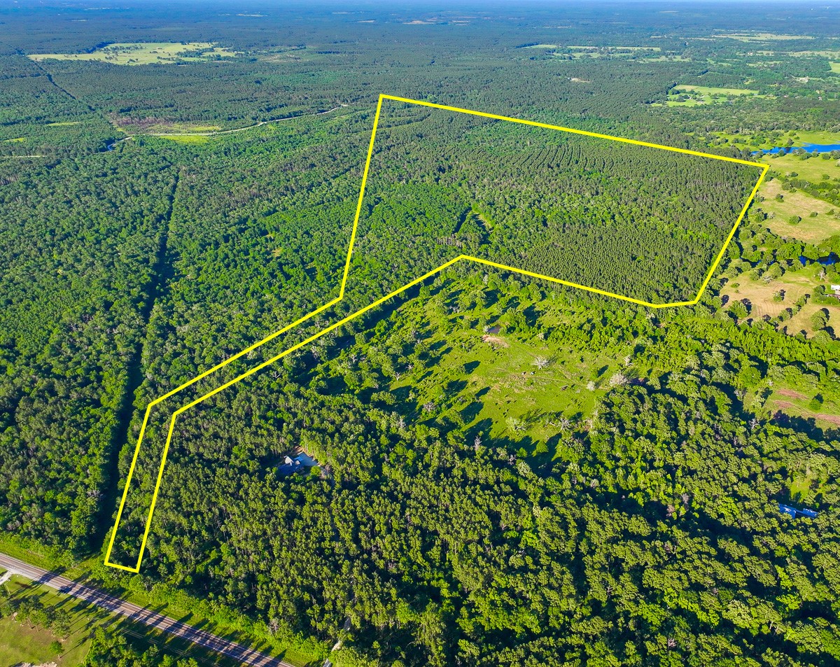 0 Fm 230 Trinity, TX 75862 - Photo 2 of 19