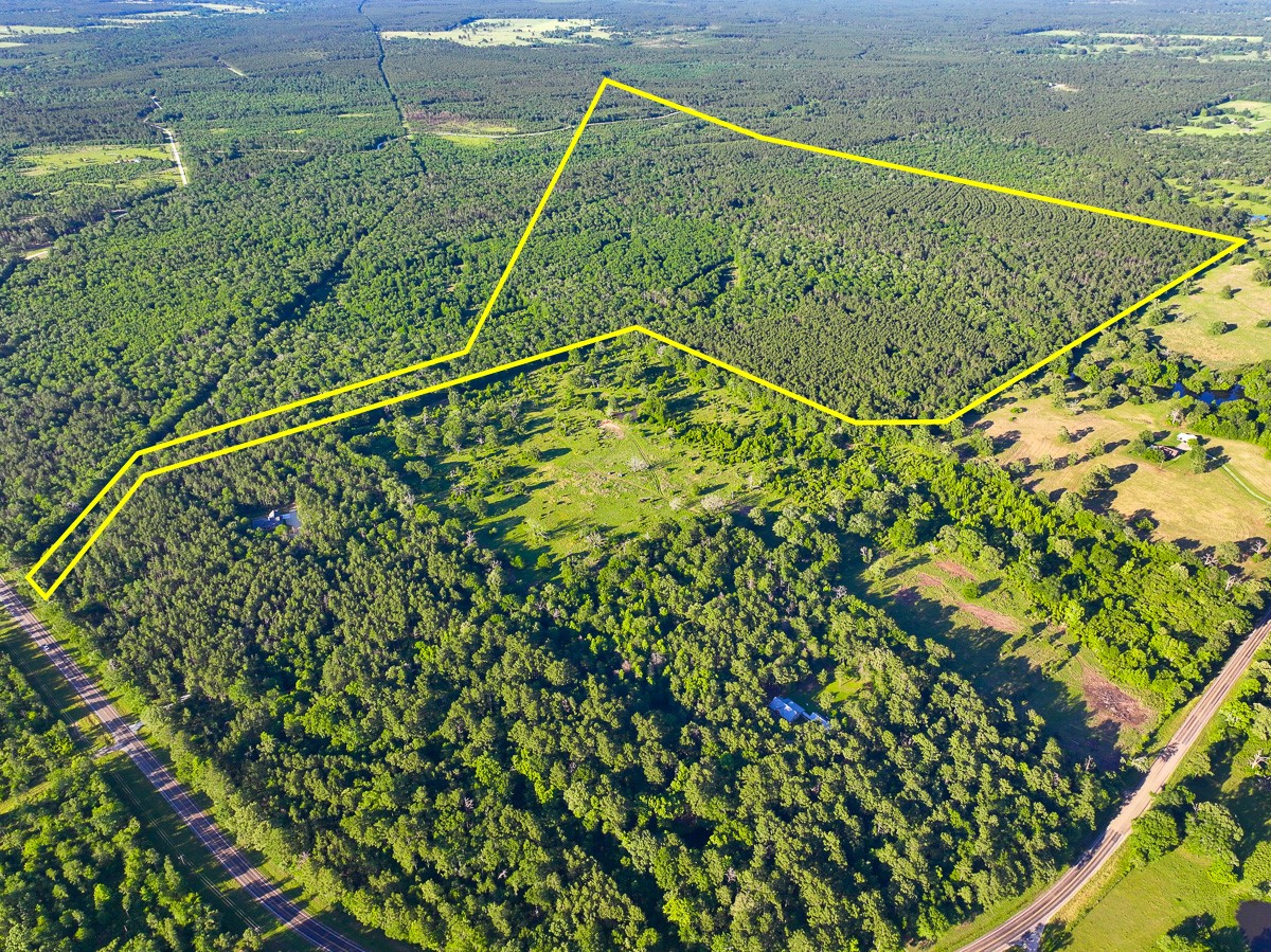 0 Fm 230 Trinity, TX 75862 - Photo 3 of 19