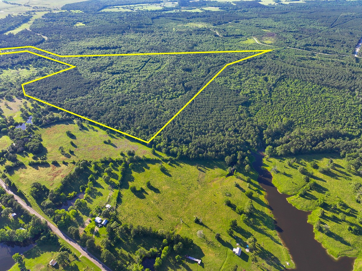 0 Fm 230 Trinity, TX 75862 - Photo 4 of 19