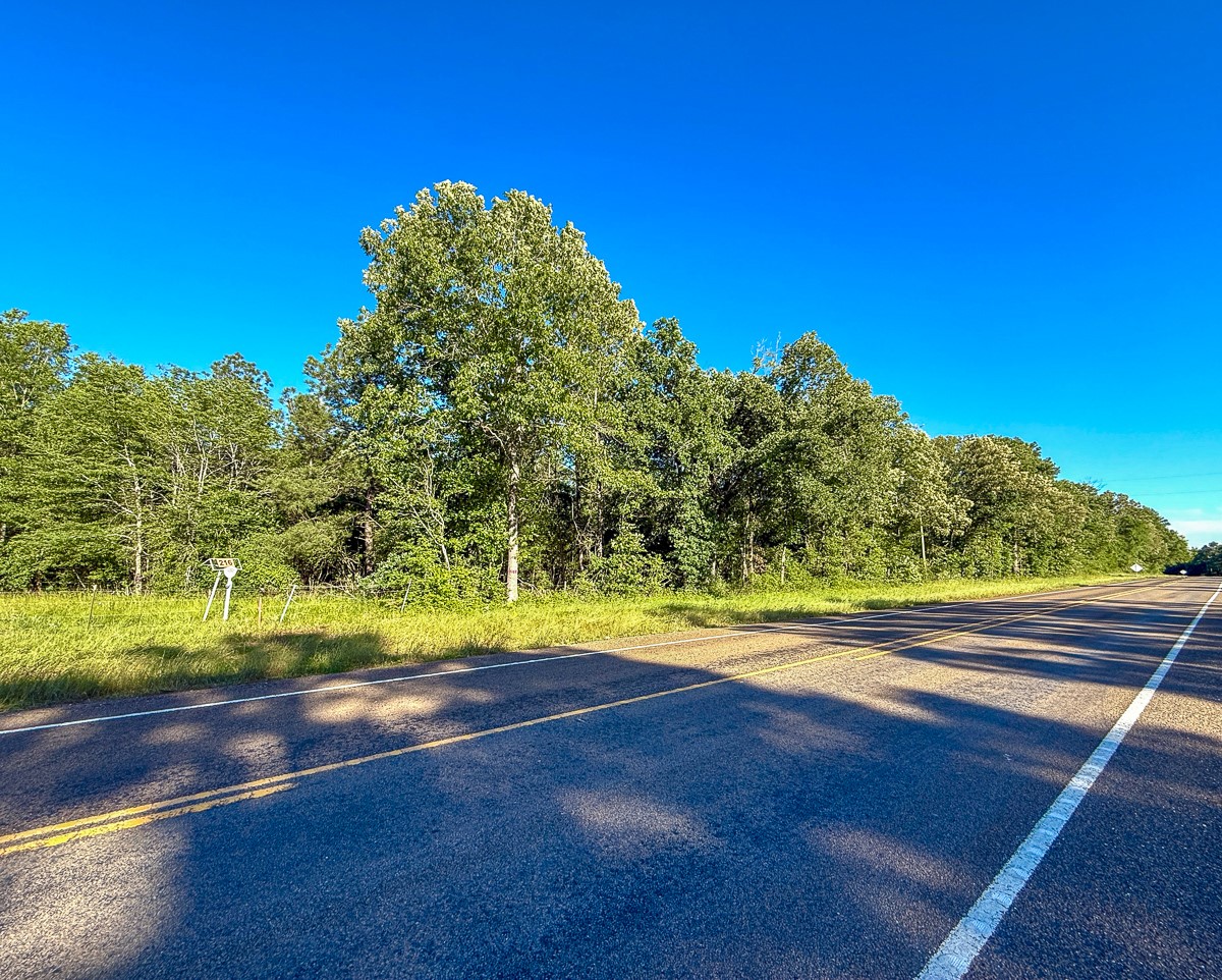 0 Fm 230 Trinity, TX 75862 - Photo 6 of 19