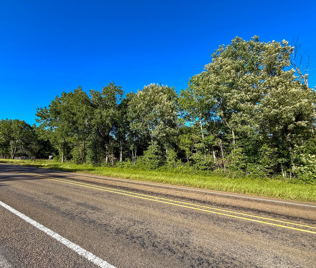 0 Fm 230 Trinity, TX 75862 - Photo 7 of 19