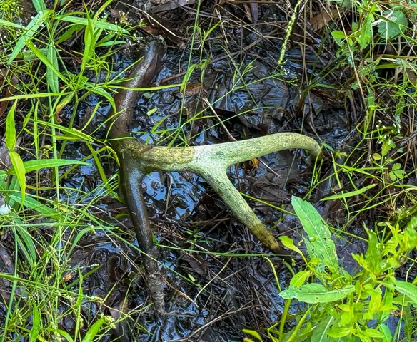 $1,175,938 | 0 Fm 230, Trinity, TX 75862