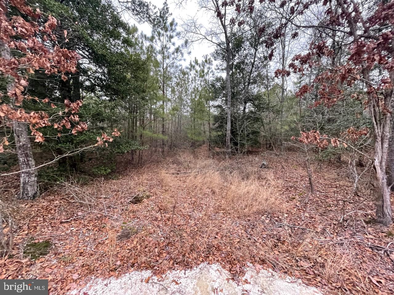 0 Millville Road Snow Hill, MD 21863 - Photo 17 of 37