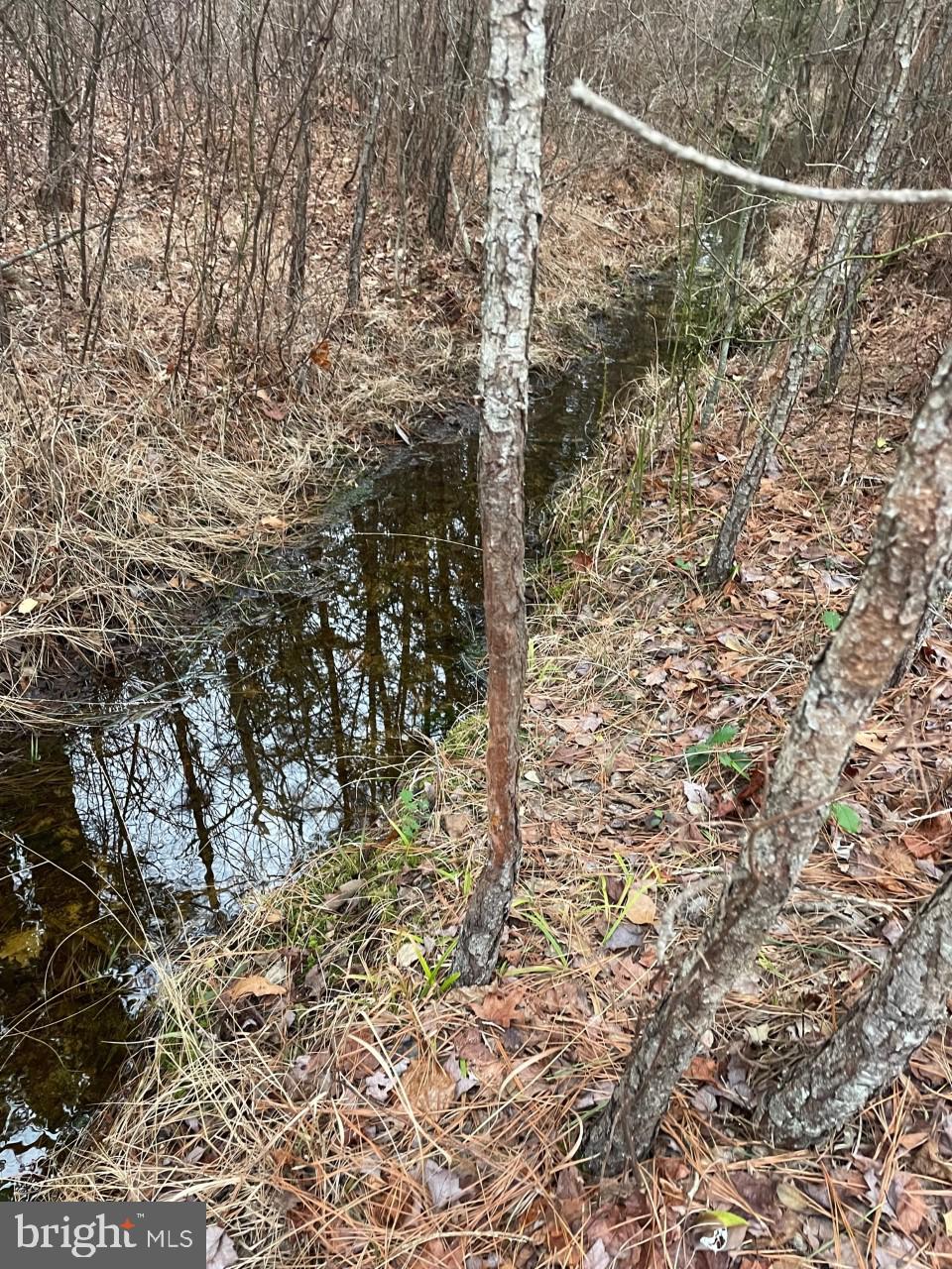 0 Millville Road Snow Hill, MD 21863 - Photo 23 of 37 small creek on propety