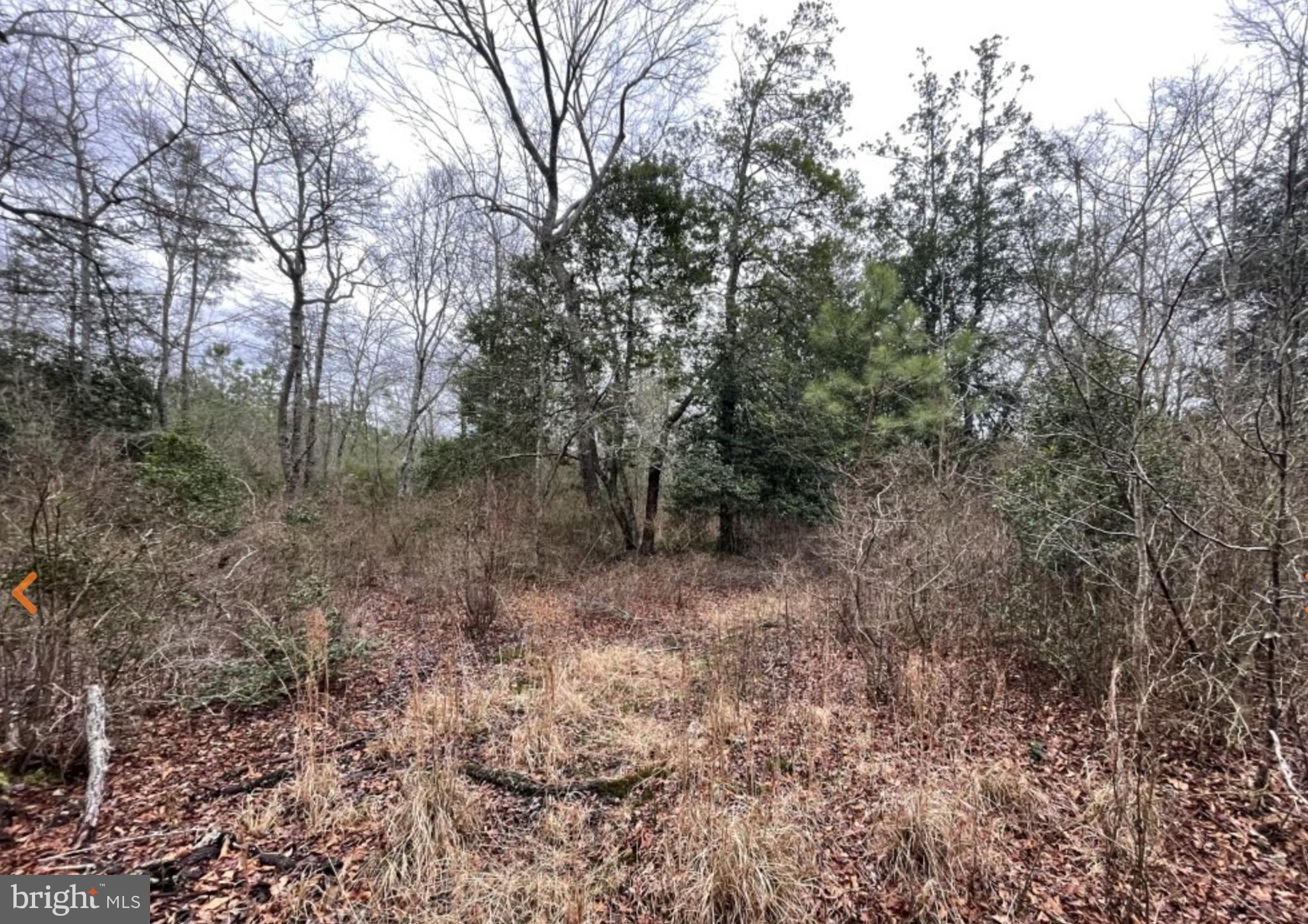 0 Millville Road Snow Hill, MD 21863 - Photo 10 of 37