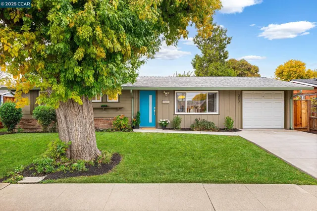 a view front of house with a yard