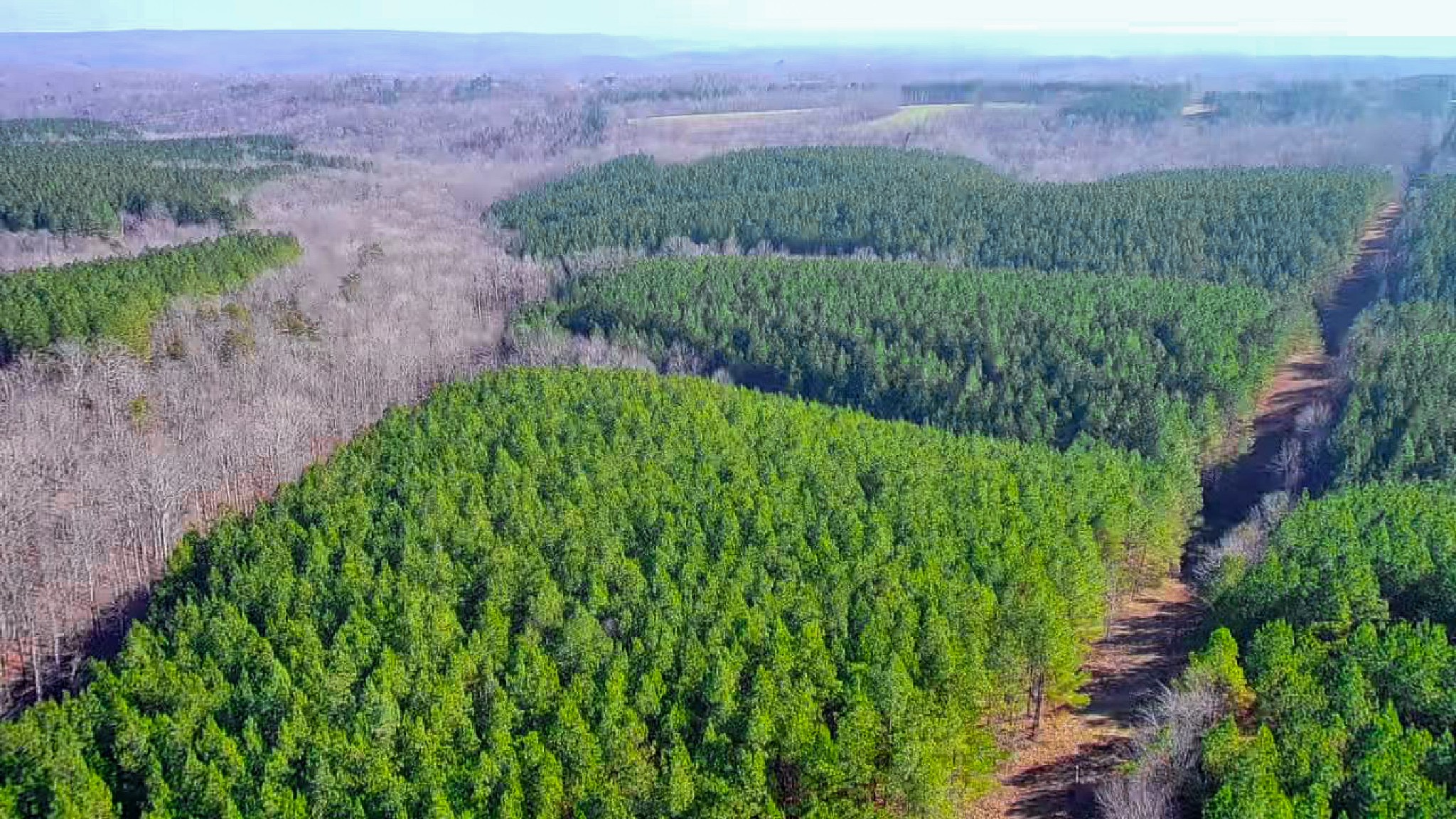 0 Indian Creek Road Hohenwald, TN 38462 - Photo 11 of 15 a view of a lush green hillside and a yard