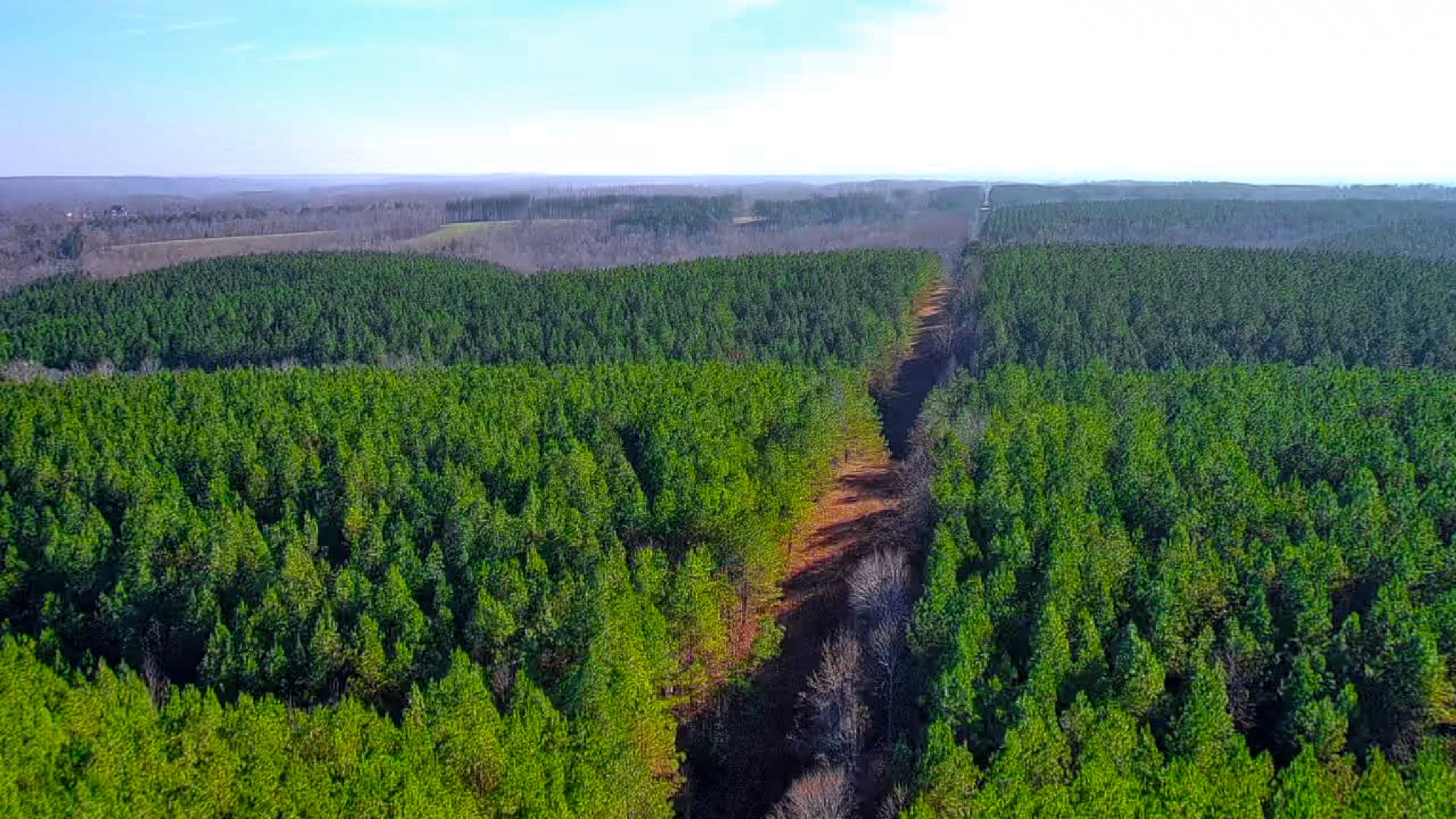 0 Indian Creek Road Hohenwald, TN 38462 - Photo 13 of 15 a view of a lush green space with a lake in the background