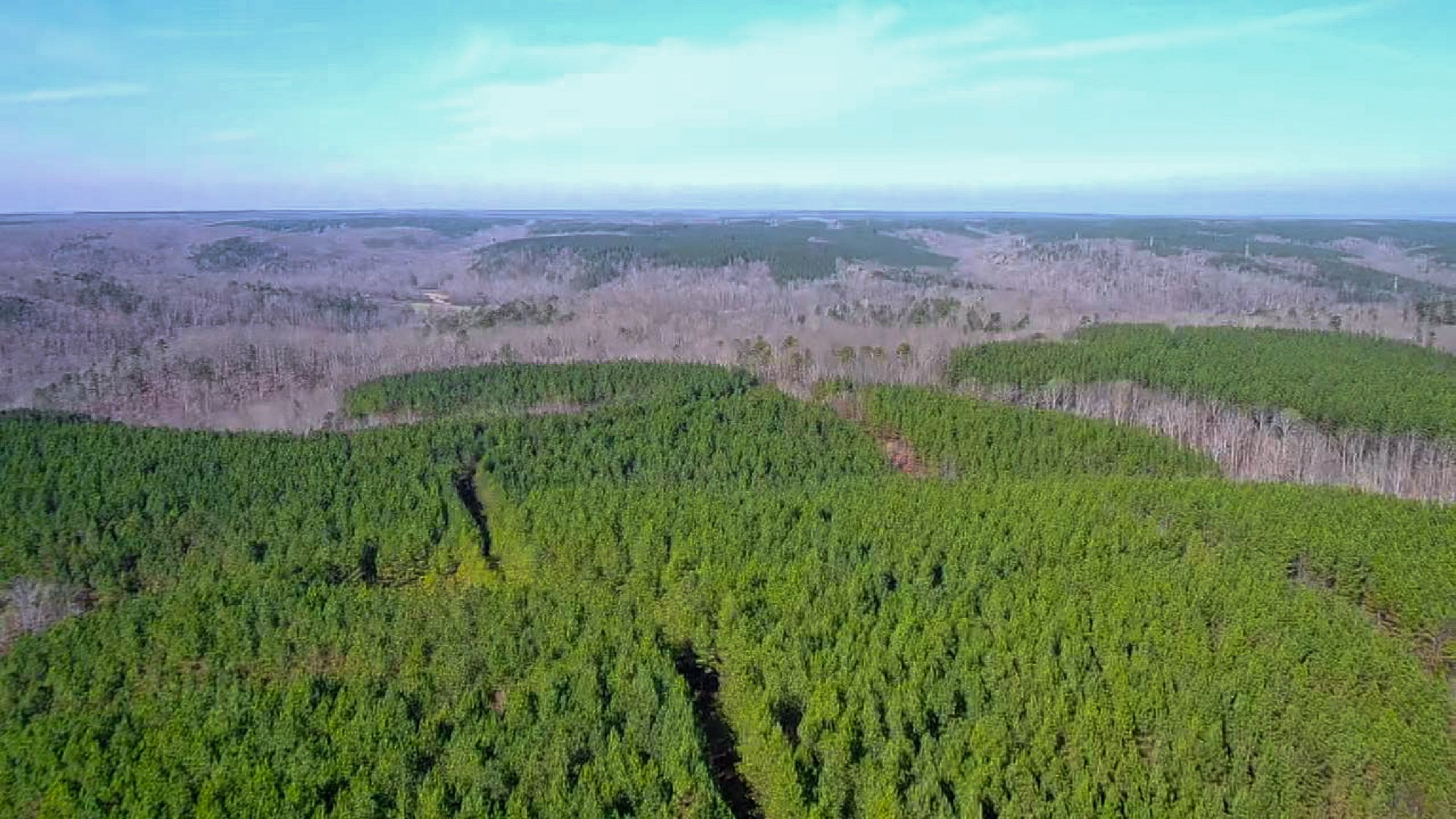 0 Indian Creek Road Hohenwald, TN 38462 - Photo 14 of 15 a view of a field with an ocean