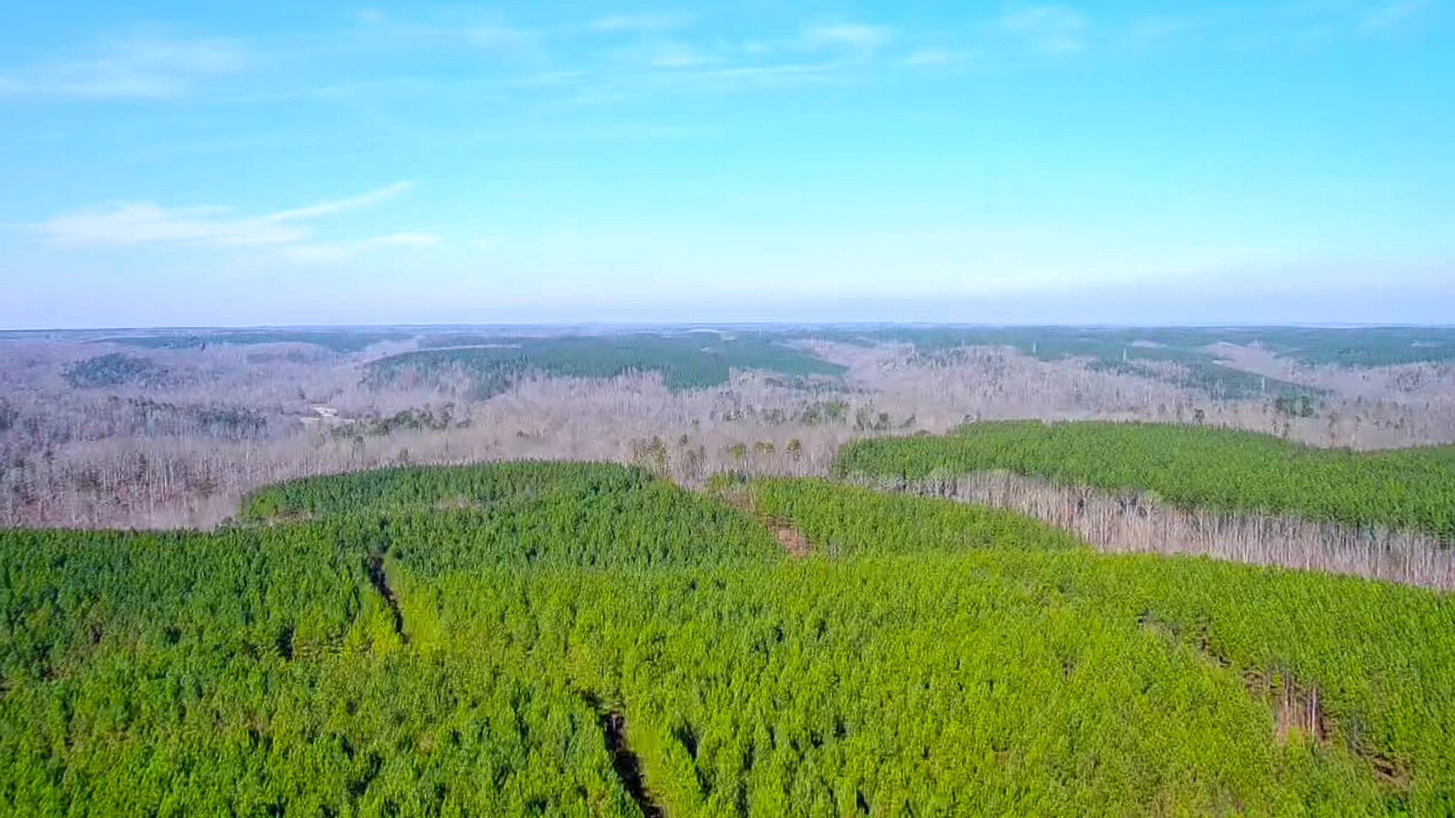 0 Indian Creek Road Hohenwald, TN 38462 - Photo 9 of 15 a view of a lush green space with sea