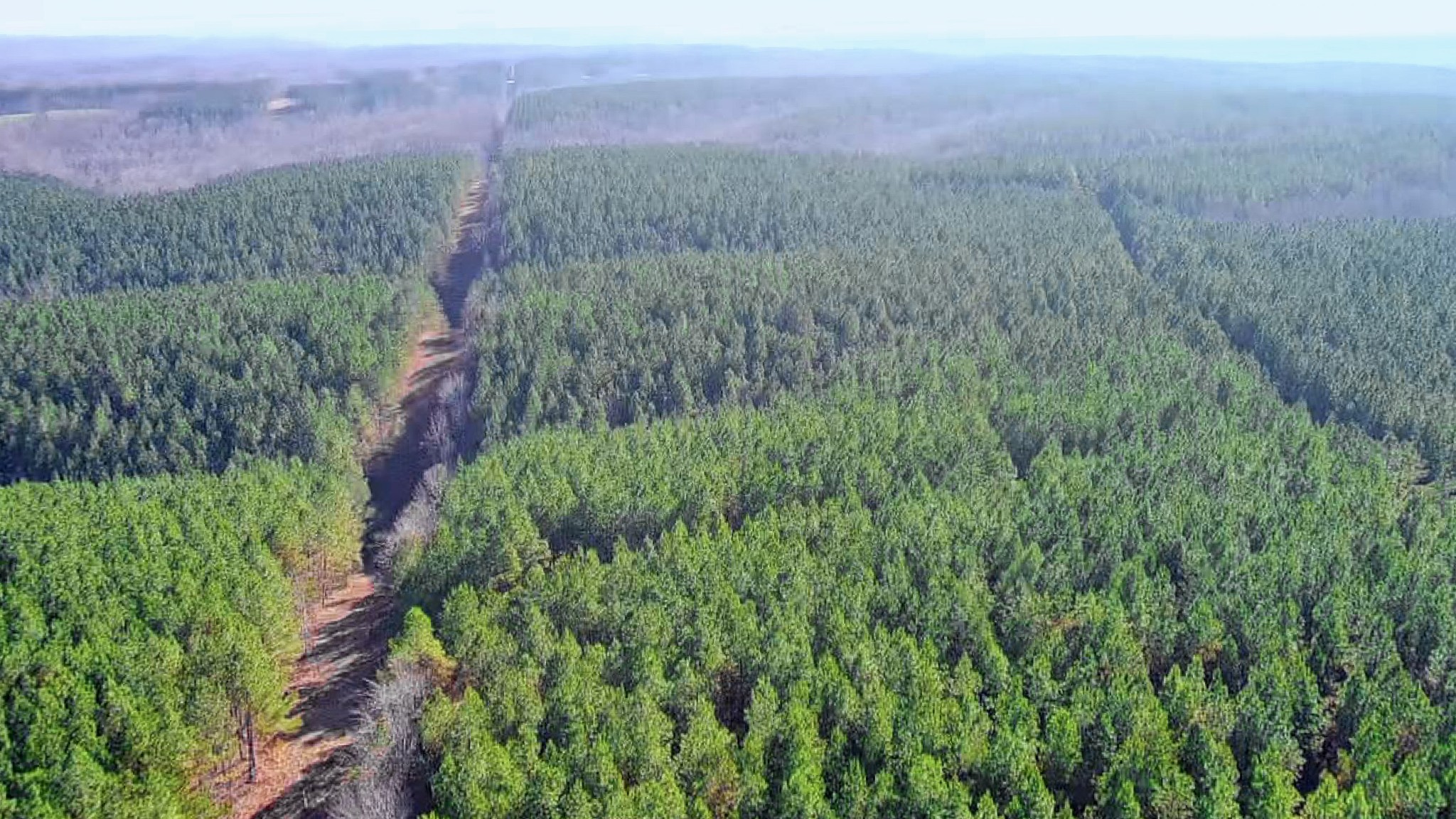 0 Indian Creek Road Hohenwald, TN 38462 - Photo 10 of 15 a view of a lush green field