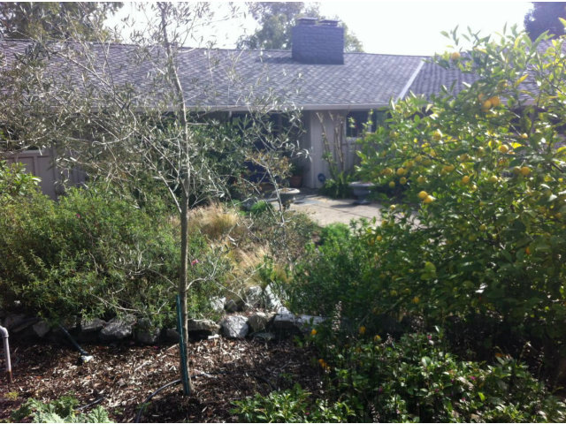 20 Ridge Lane Santa Cruz, CA 95060 - Photo 1 of 1 Gallery Image 1